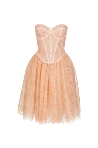 Down Lace Crystal Mini Corset Dress