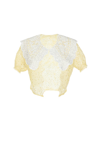 Down Lace Collared Crystal Blouse