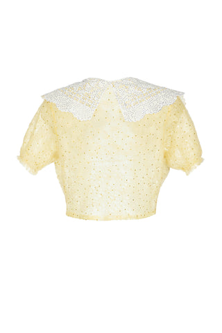 Down Lace Collared Crystal Blouse