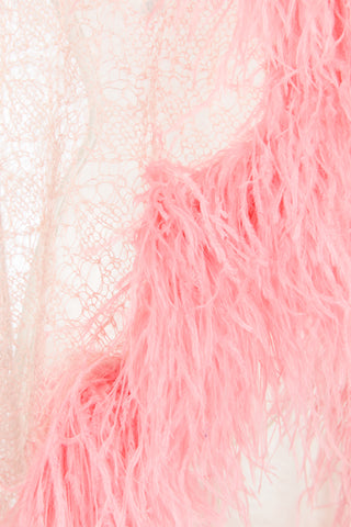Delicate Down Lace Crystal Stole With Ostrich Feathers
